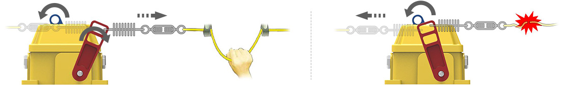 Belt Conveyor Switch | HPC 홍성